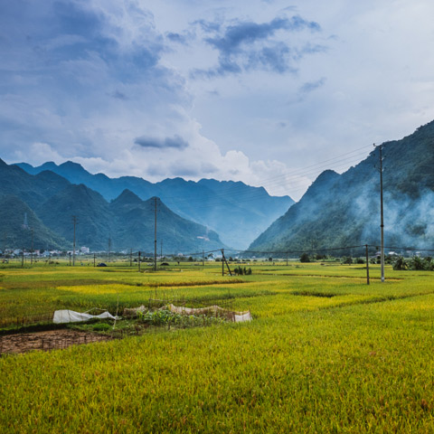 Mai Chau