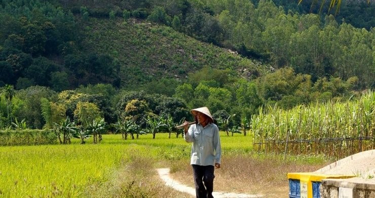 Nha Trang Explore and Beach Relaxation 6 Days