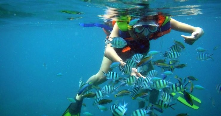 Nha Trang Explore and Beach Relaxation 6 Days