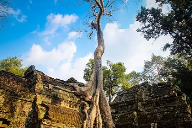 Siem Reap Insight 4 Days