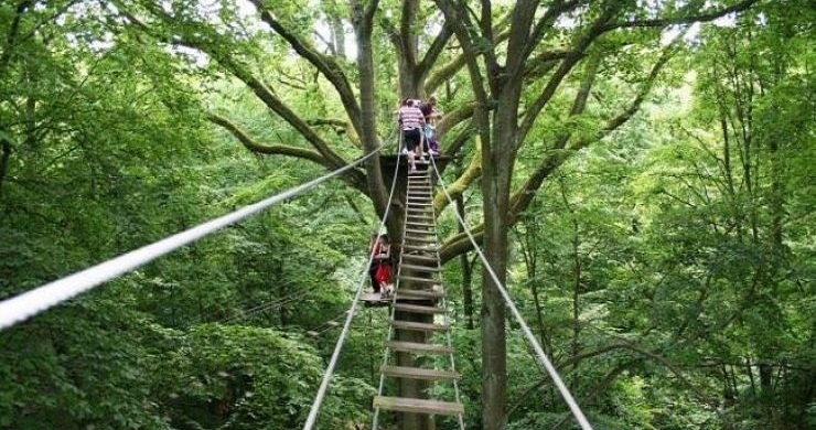 Central Vietnam Discovery 4 Days