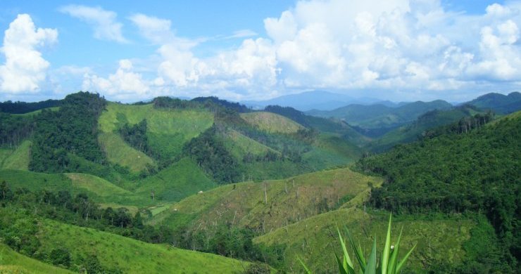 Laos Experience Within 19 Days