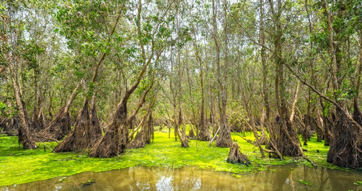 Vietnam, Cambodia & Laos Great Journey 20 Days