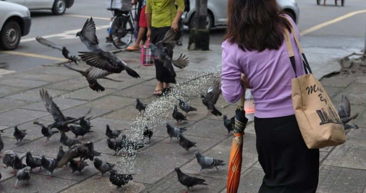 Myanmar Discovery By Crossing China Border 9 Days