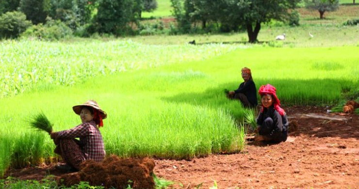 Unusual Myanmar Tour 10 Days