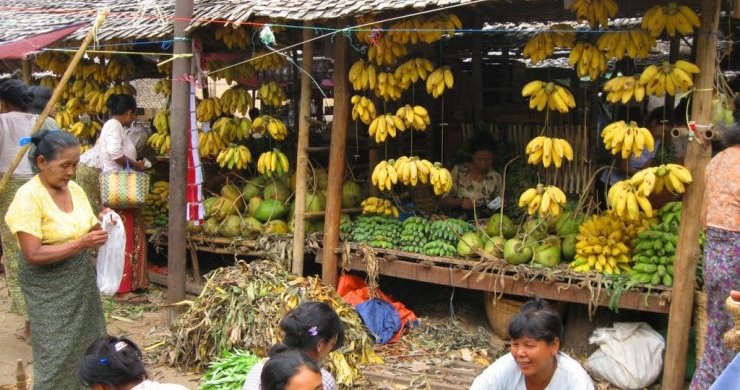 Myanmar Insight 11 Days