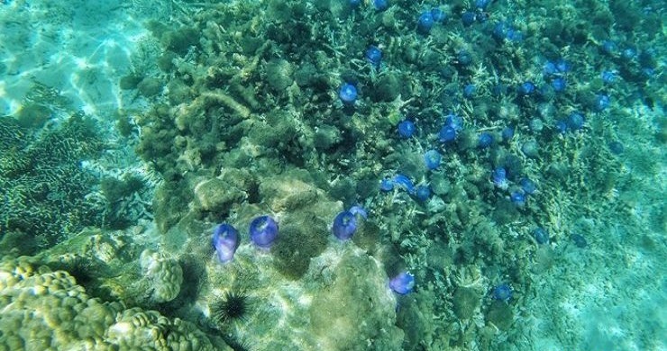 Mergui Archipelago Snorkeling & Kayaking 5 Days