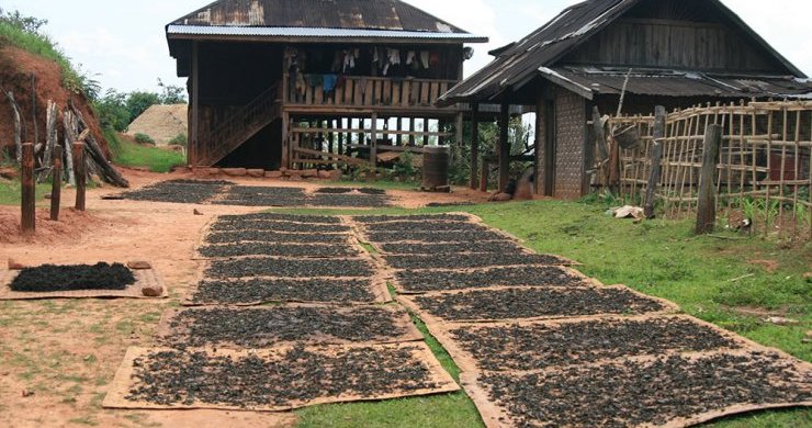 Must-See Myanmar 14 Days