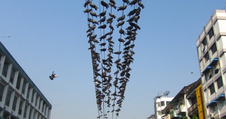 Myanmar First Impression 7 Days