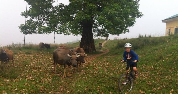 Explore Hanoi By Bike Full Day