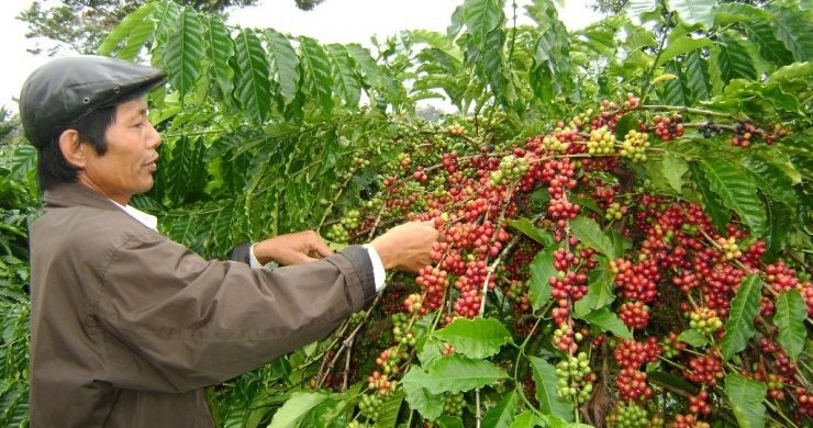 Must-See Rider Southern Vietnam And Cambodia 13 Days