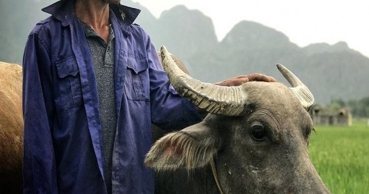 Luxury Hoa Lu - Tam Coc Small Group Day Trip