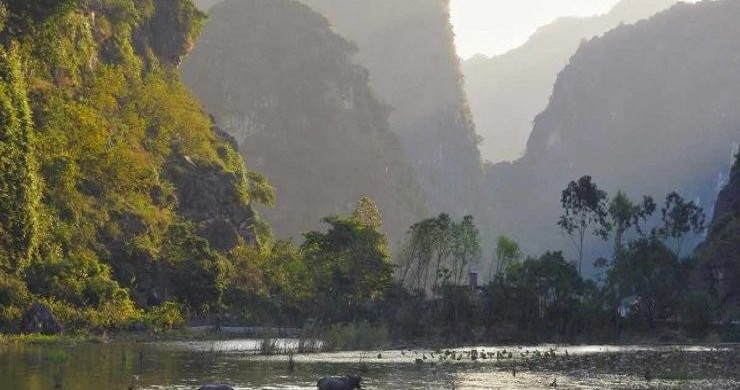 Luxury Hoa Lu - Tam Coc Small Group Day Trip