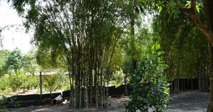 Binh Duong Village Uncover Day Trip