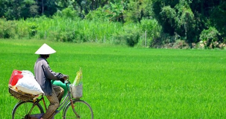 Hoi An Countryside Cycling