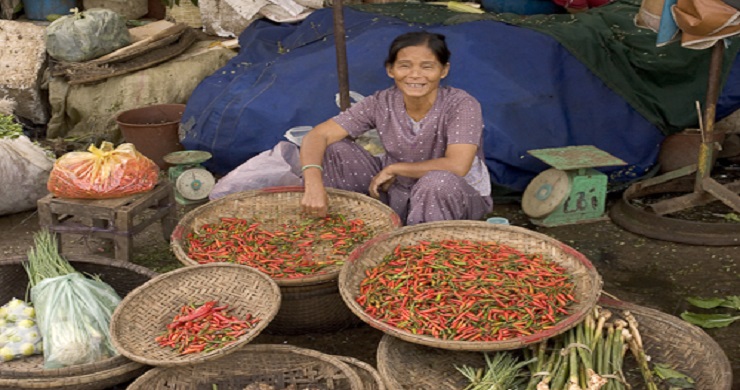 Thuy Bieu Eco-Village Cooking Class 1-Day