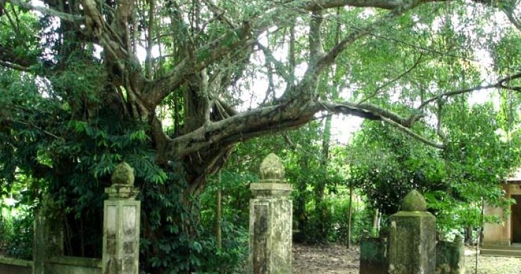 Thuy Bieu Eco-Village Cooking Class 1-Day