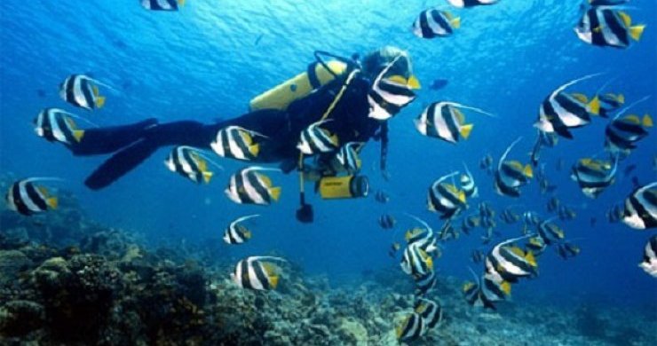 Nha Trang Speedboat Explore Full Day