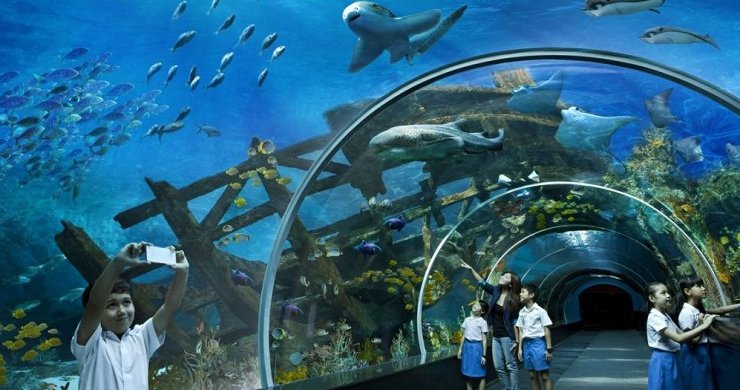 Islands & Snorkeling Experience 1-Day