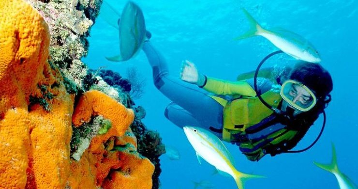 Islands & Snorkeling Experience 1-Day