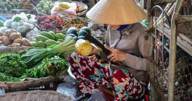 Nha Trang City Tour and Islands Explore 1-Day