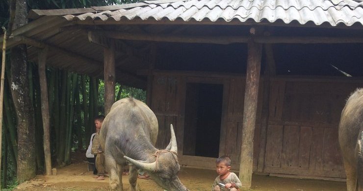 Sapa At First Sight 2 Days