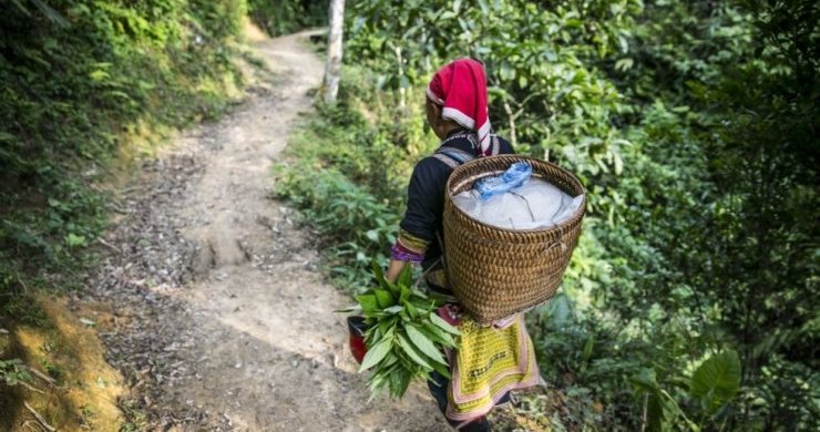 Red Dao Village Uncover 2 Days