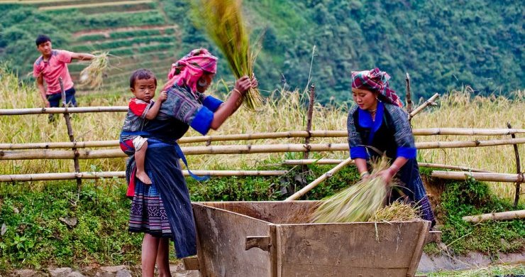 Trek In Sapa 2 Days - Homestay