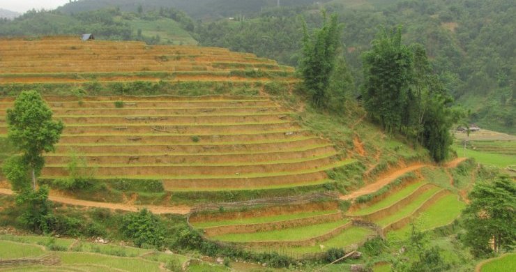 Trek In Sapa 2 Days - Homestay