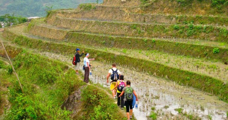 Trek In Sapa 2 Days - Homestay