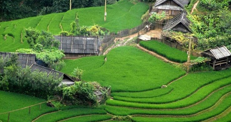Sapa Ethnic Market Day Trip