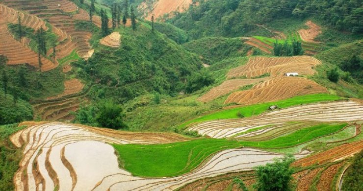 Sapa & Bac Ha Market Explore 2 Days