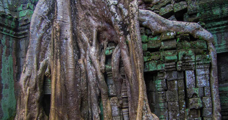 Must-See Vietnam and Cambodia 17 Days