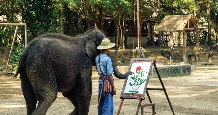 Vietnam, Cambodia & Thailand Top Destinations 19 Days