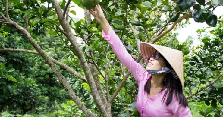 Vietnam and Cambodia Great Journey 22 Days