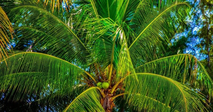 Vietnam and Cambodia Great Journey 22 Days