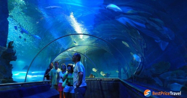 Vietnam and Cambodia Great Journey 22 Days