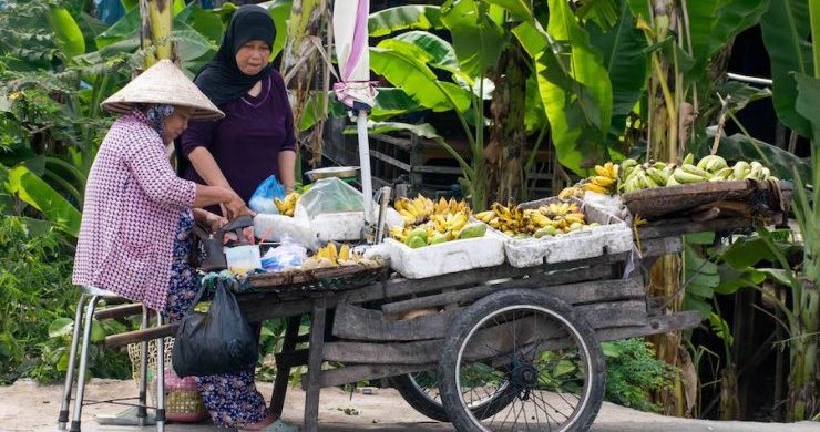 Vietnam and Cambodia Great Journey 22 Days