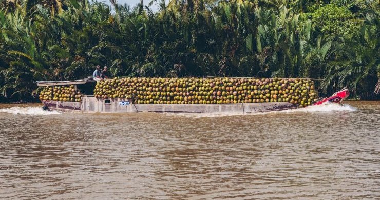 Southern Vietnam First Impression 4 Days