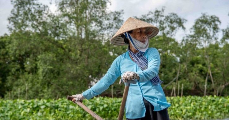 Vietnam Uncover By Train 15 Days