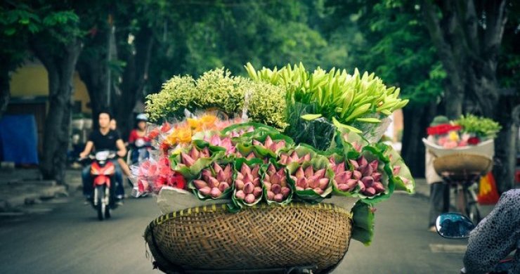 Vietnam First Impression 7 Days