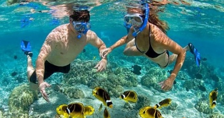 Vietnam Great Adventure 18 Days