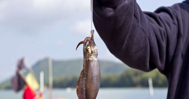 Peak Vietnam and Cambodia Luxury 15 Days