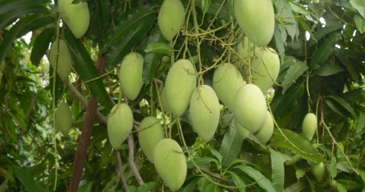 Luxury Tour - Live Vietnam Like A Local 14 Days