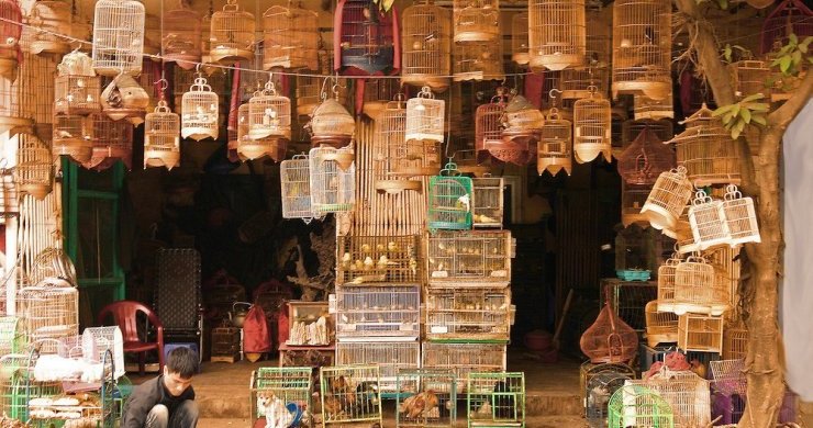 Luxury Tour - Live Vietnam Like A Local 14 Days