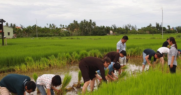 Luxurious Vietnam Discovery 11 Days