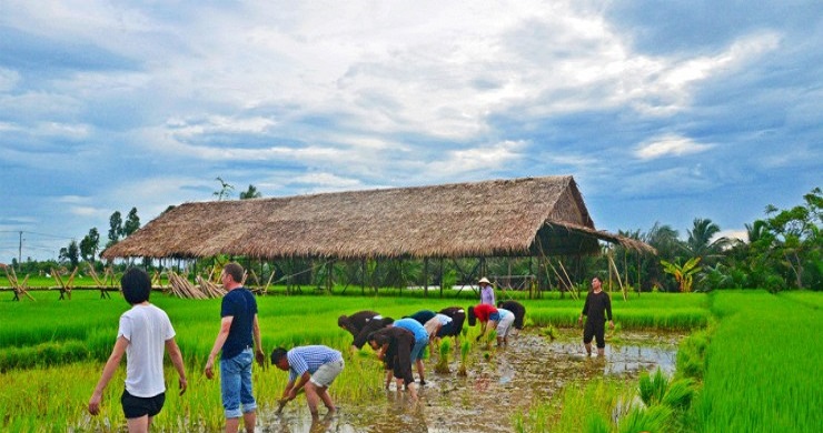 Luxurious Vietnam Discovery 11 Days