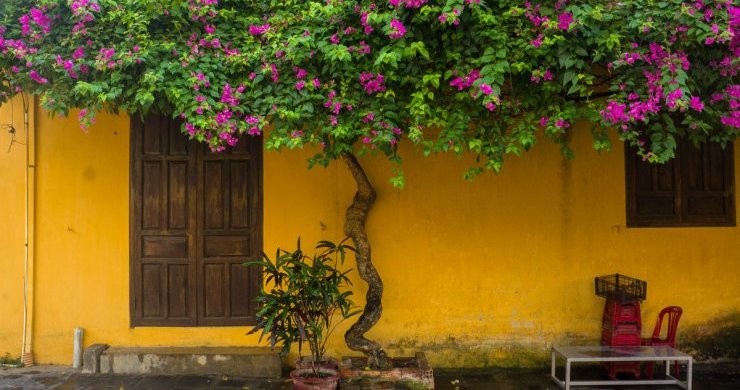 Luxury Saigon And Ancient Hoi An Chilling 9 Days
