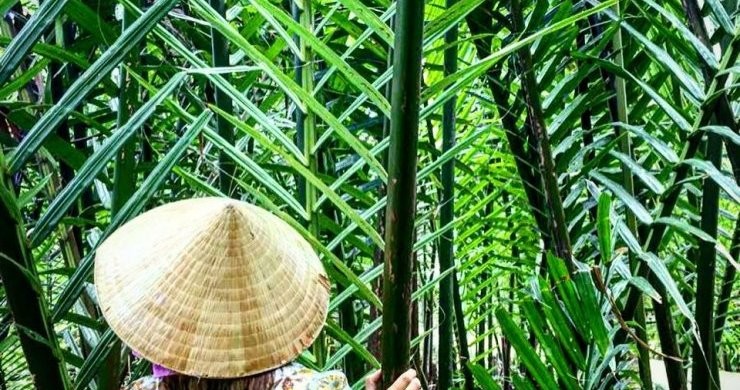 Luxury Saigon And Ancient Hoi An Chilling 9 Days