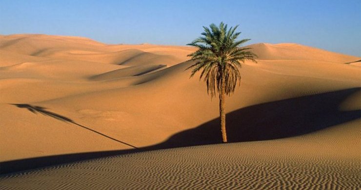 Luxury Saigon Explore 8 Days